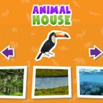 Animal  House game